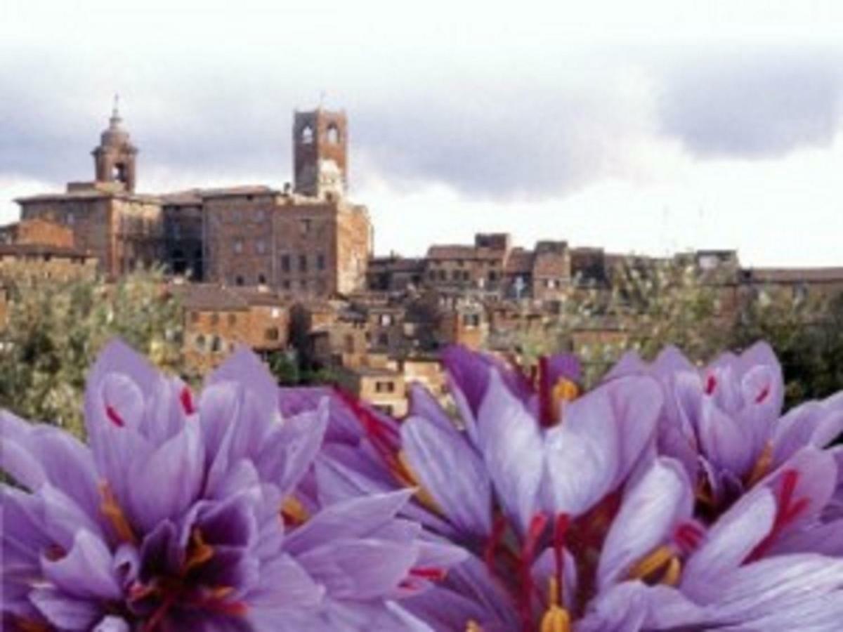 Romantico 36 Città della Pieve Exterior foto